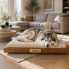 Le lit design pour chien qui s’intègre à votre intérieur