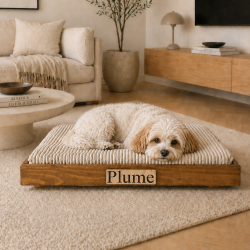 Le lit design pour chien qui s’intègre à votre intérieur