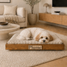 Le lit design pour chien qui s’intègre à votre intérieur