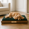 Le lit design pour chien qui s’intègre à votre intérieur