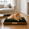 Le lit design pour chien qui s’intègre à votre intérieur