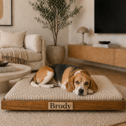 Le lit design pour chien qui s’intègre à votre intérieur