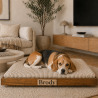 Le lit design pour chien qui s’intègre à votre intérieur