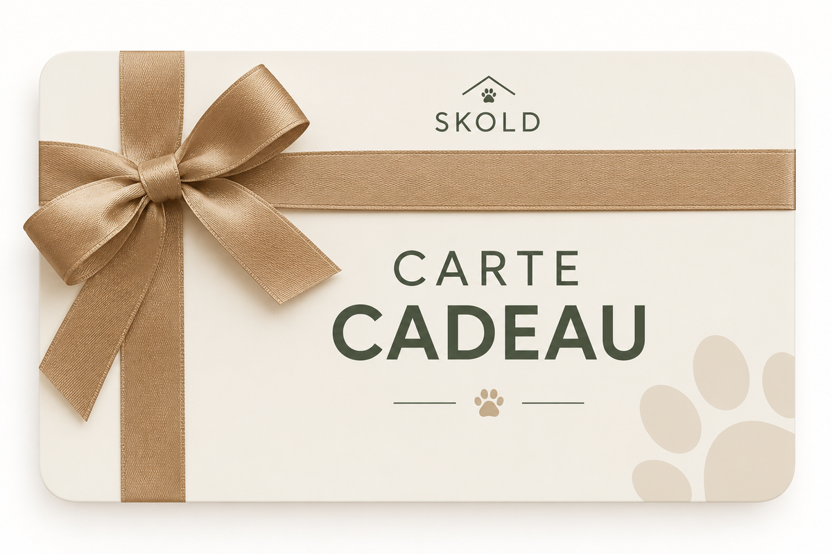 Carte Cadeau