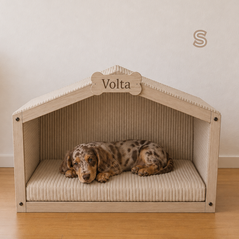 Cabane pour chien personnalisée en bois