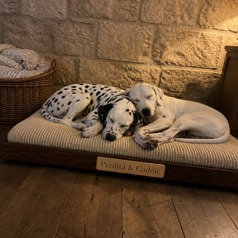Photo client Perdita et Caddie